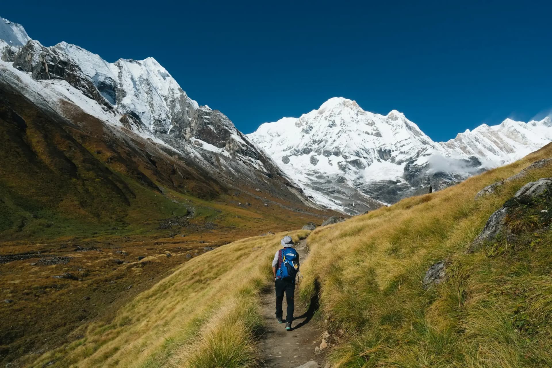 Trekker on the grassy trail into the Annapurna Sanctuary