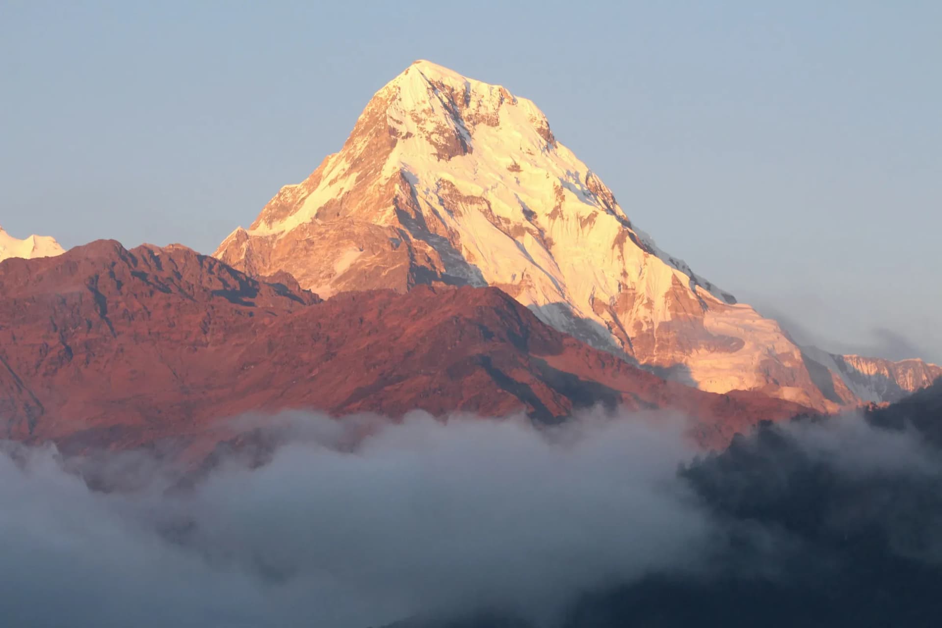 Annapurna South glowing gold above a sea of clouds