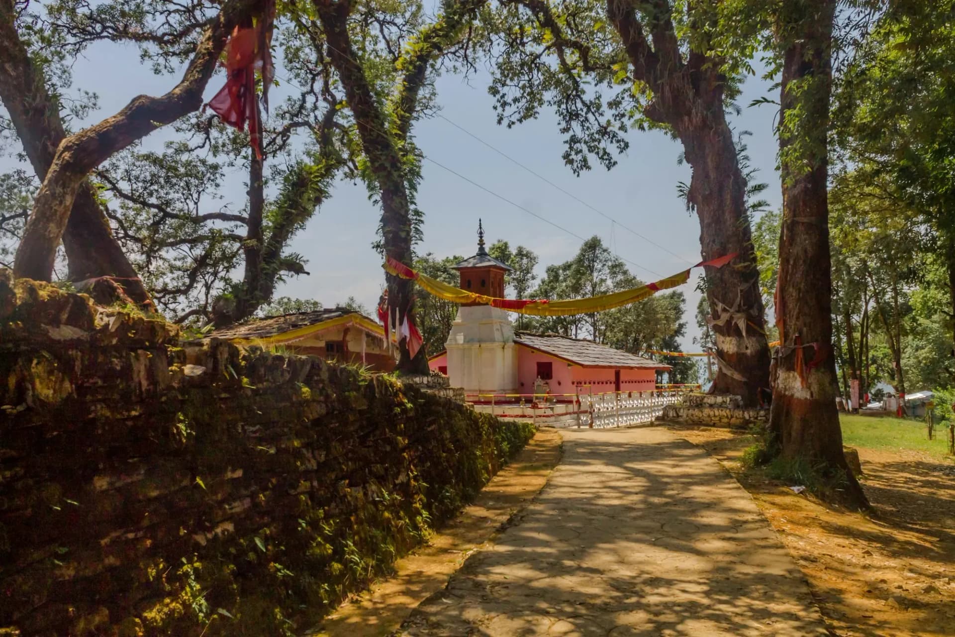 Shaded stone path under old trees leading to a small hilltop temple