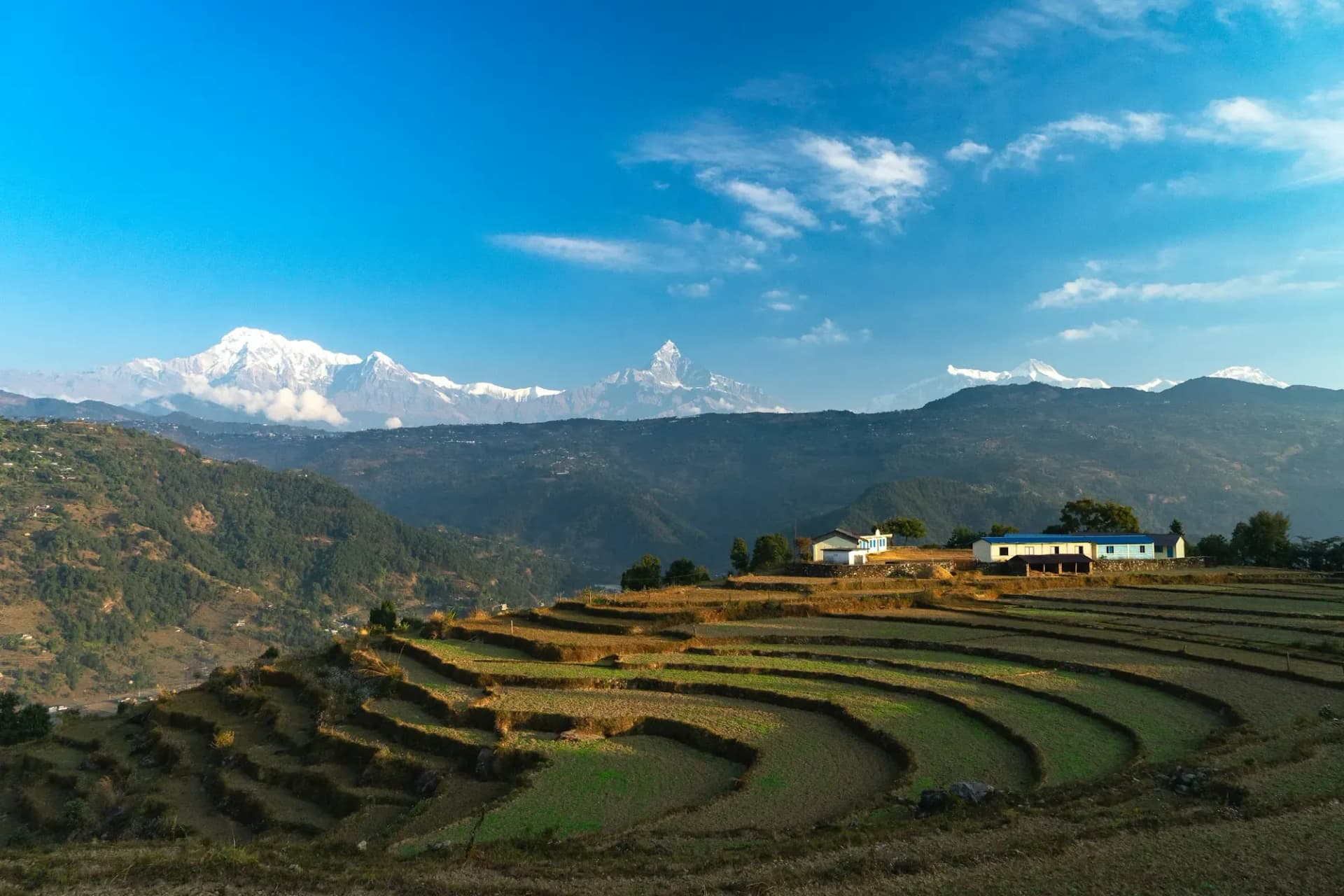 Curved farm terraces below Annapurna and Machhapuchhre on a clear morning