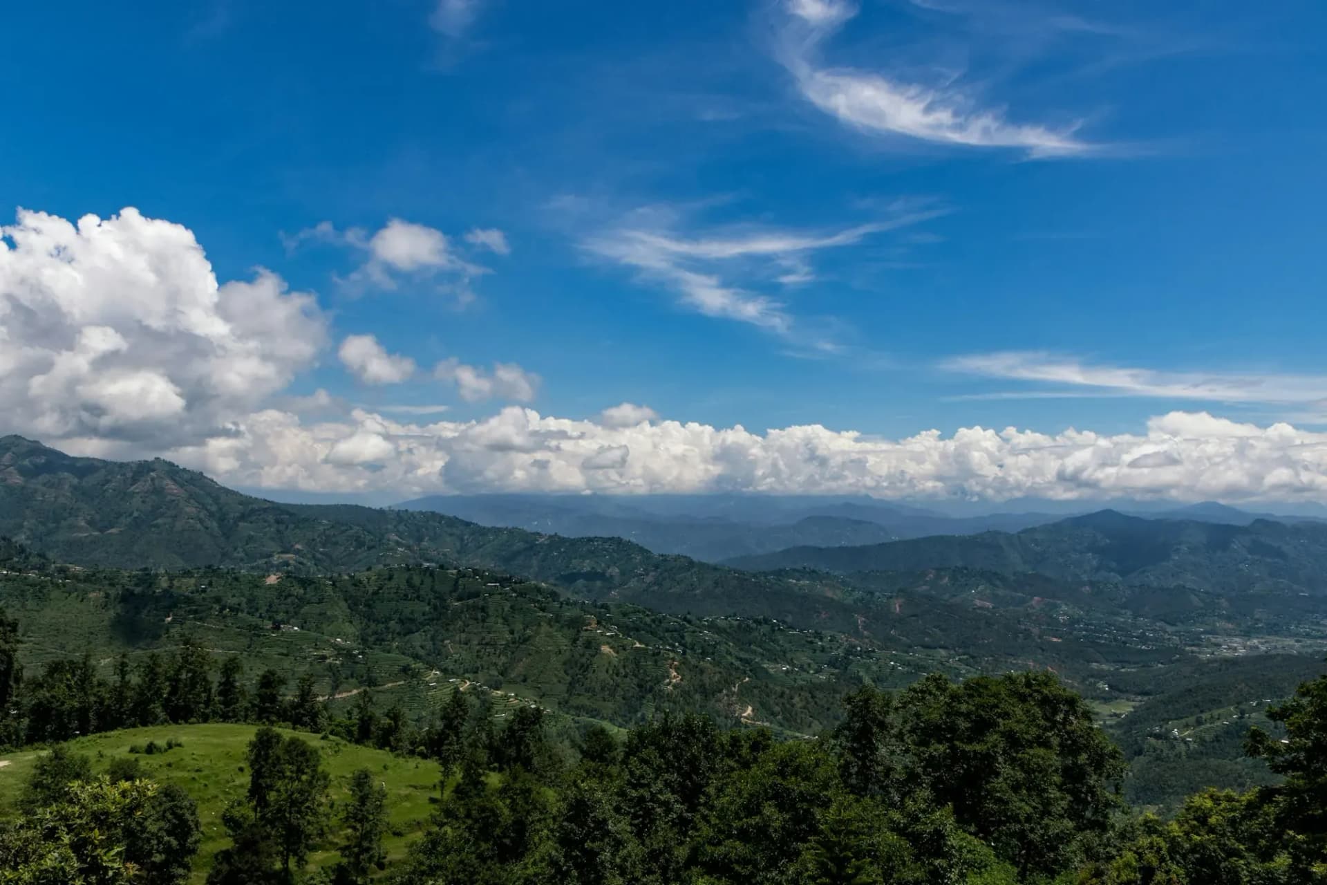 Forested green hills and valleys under a bright blue sky