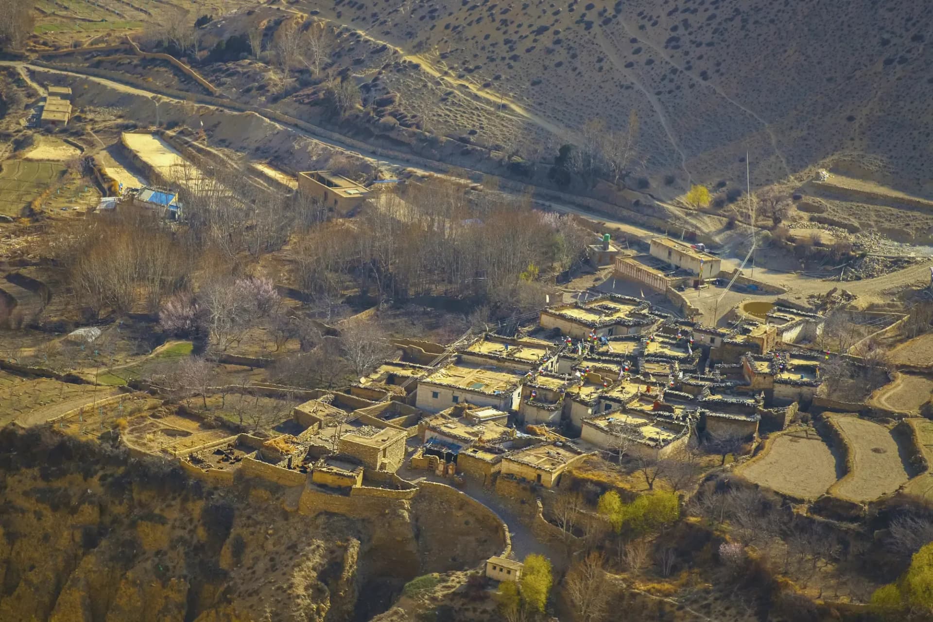 A walled village and terraced fields in the arid Mustang landscape
