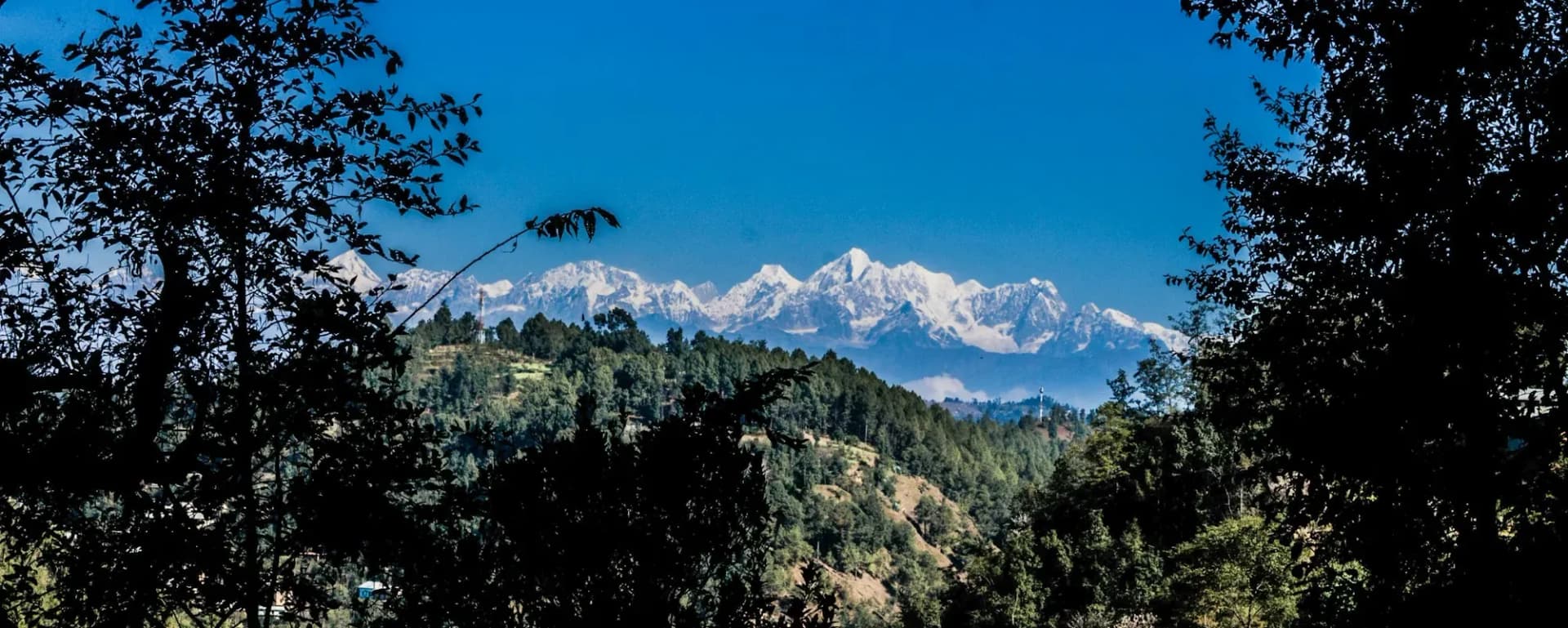 Snow-capped range seen through a frame of forest trees