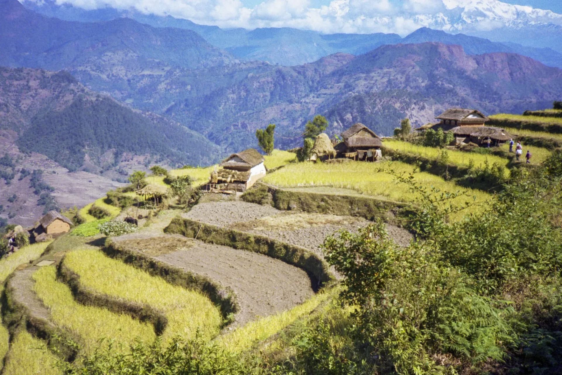 Terraced fields and stone houses on a hillside in the Nepal middle hills